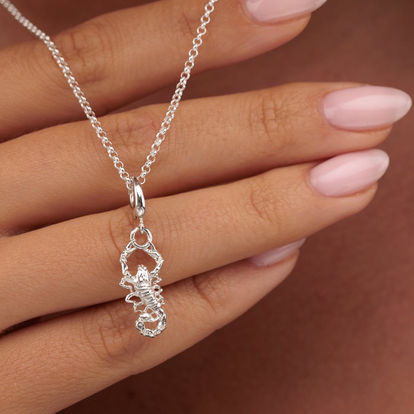 Silver Scorpion Charm