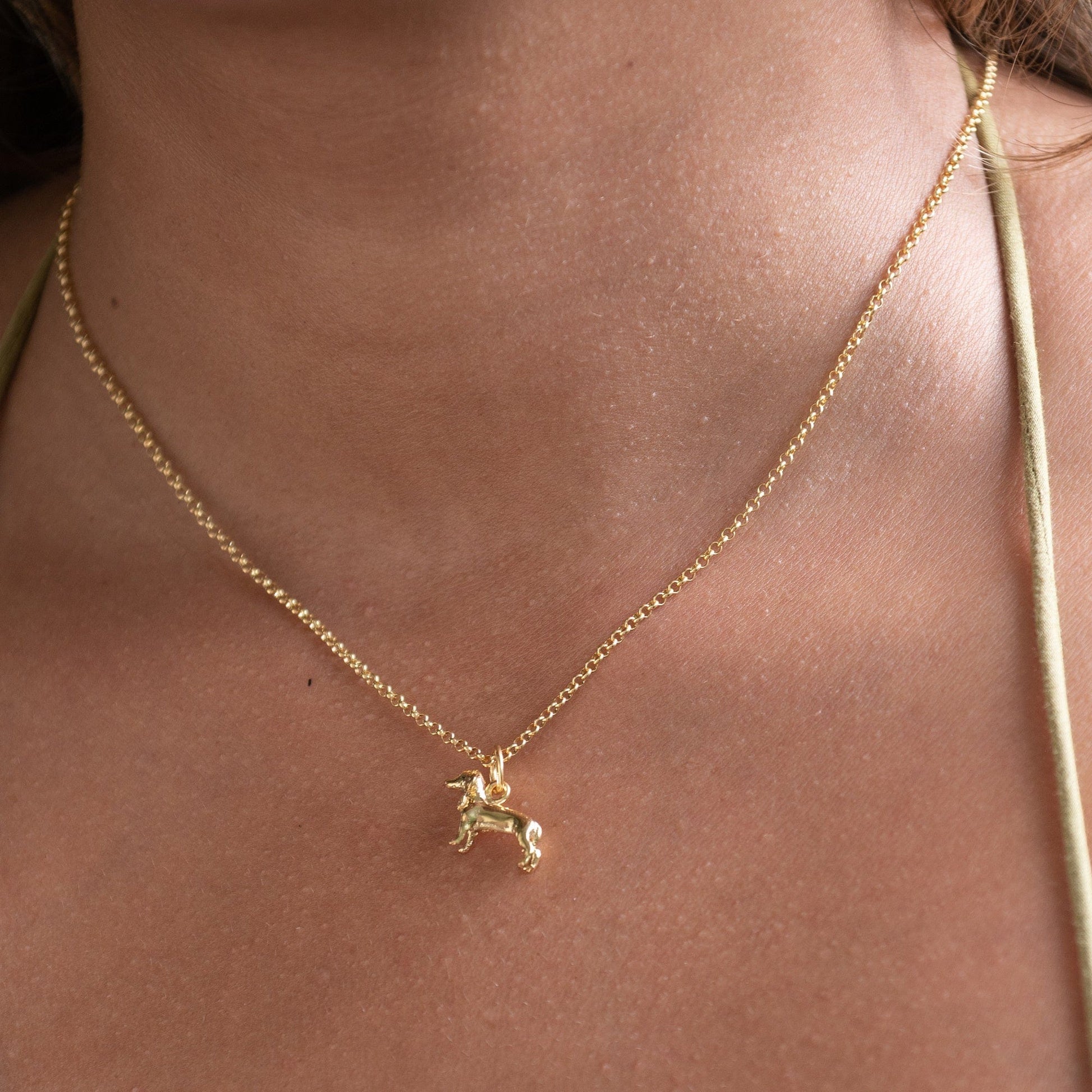 Gold Plated Sausage Dog Charmon Necklace | Animal  Charms by Lily Charmed