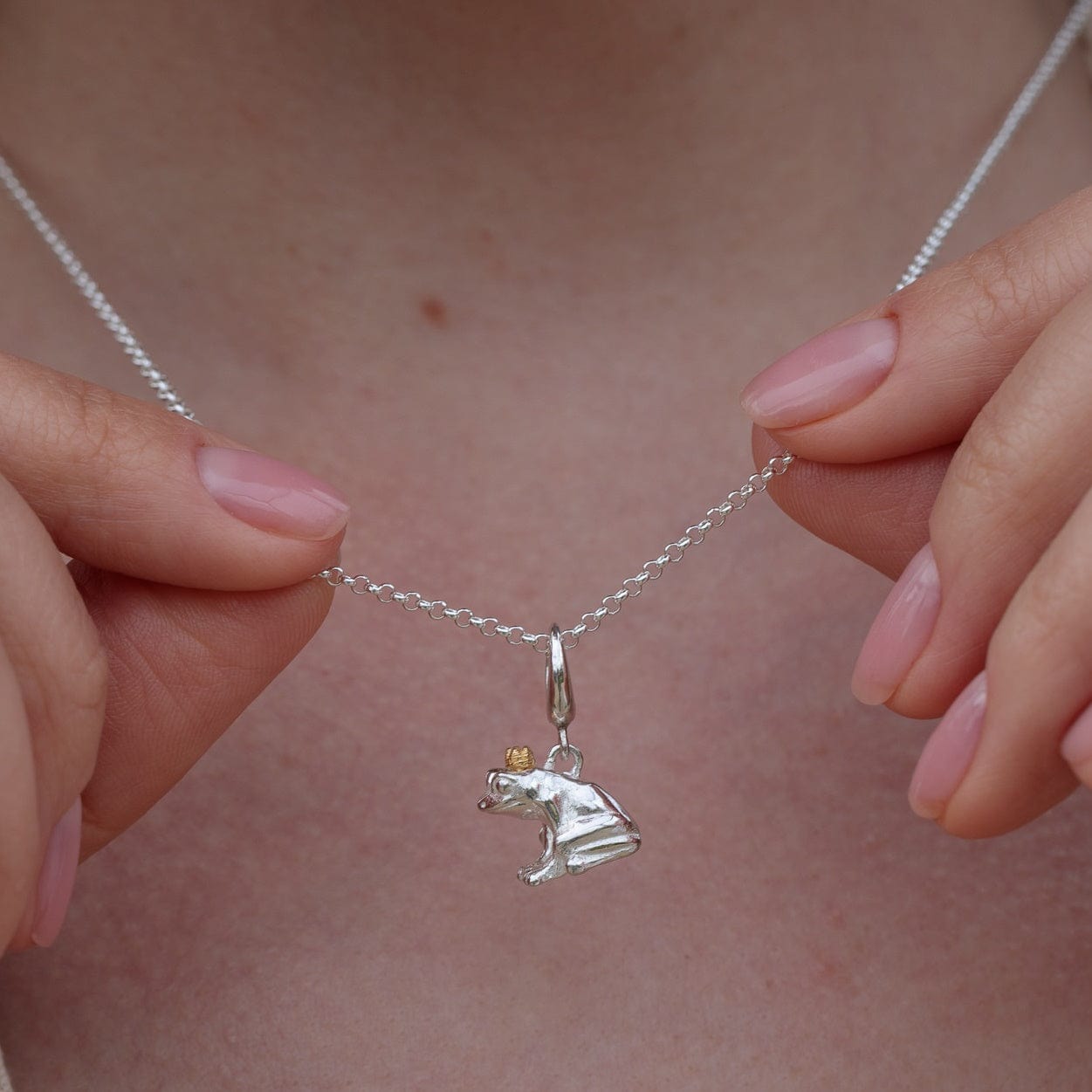 Silver Frog Charm on Necklace - Lily Charmed