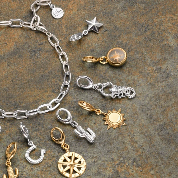 Gold Plated Sunshine Charm with Wild West Themed Bracelet- Lily Charmed